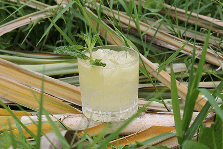 coctel yerba santa con aguardiente artesanal