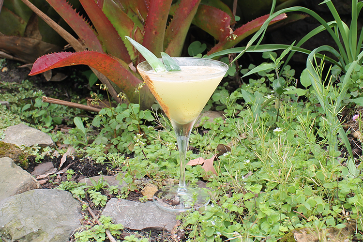 coctel de la huerta con aguardiente desquite